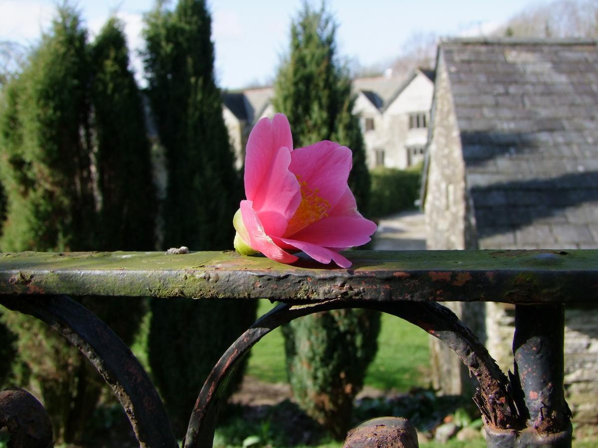 Ranscombe Manor Bed & Breakfast Kingsbridge  Exterior photo